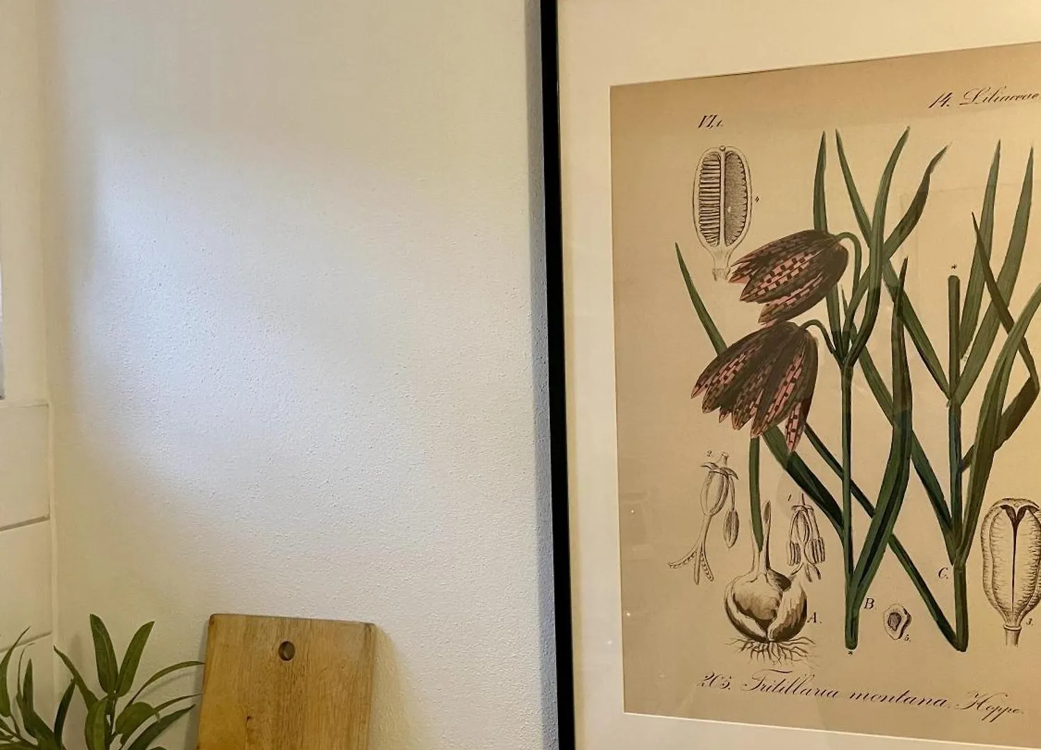 Ferienwohnung Locherer Wasserburg am Bodensee